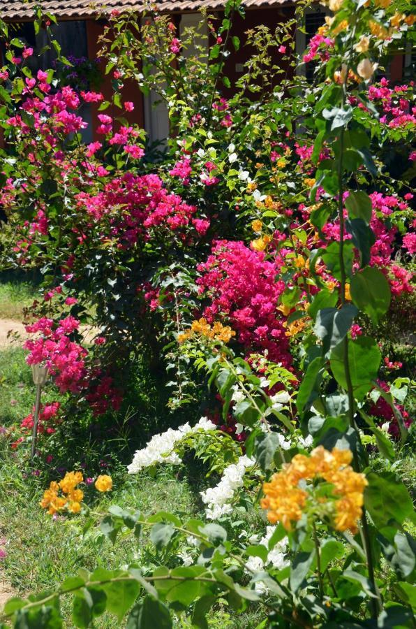 Arya Homestay Bougain Villa Gokarna  Eksteriør bilde
